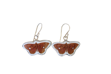 Brown Butterfly Earrings