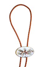 Oval Acorn Bolo