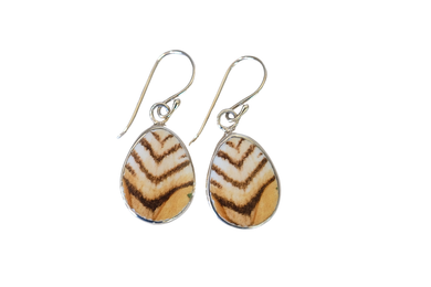 Tiger Print Teardrop Earrings